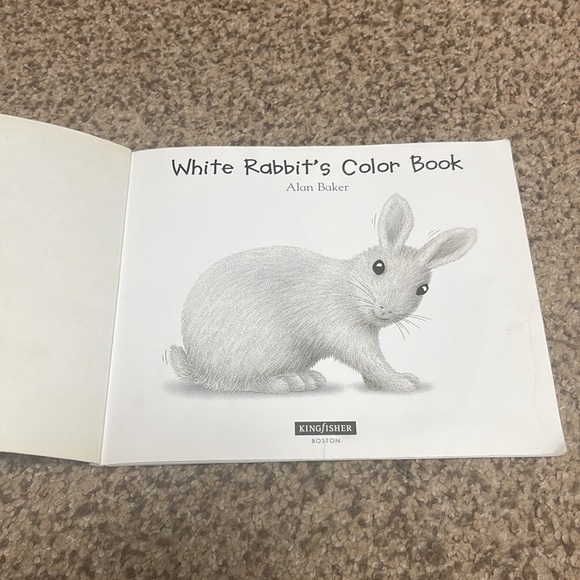 White Rabbit’s Color Book by Alan Baker - Picture 3 of 7